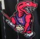 Toronto Raptors Gradey Dick #1 City Edition Nike Swingman Jersey (Black Dino) L NEW - Image 3