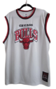 NBA White Chicago Bulls Jersey XL